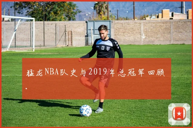 猛龙NBA队史与2019年总冠军回顾 .