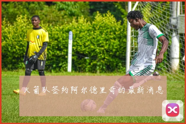 火箭队签约阿尔德里奇的最新消息