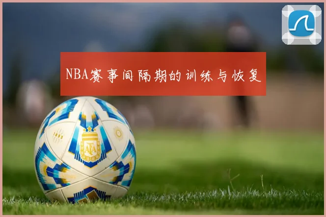 NBA赛事间隔期的训练与恢复