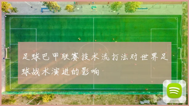足球巴甲联赛技术流打法对世界足球战术演进的影响