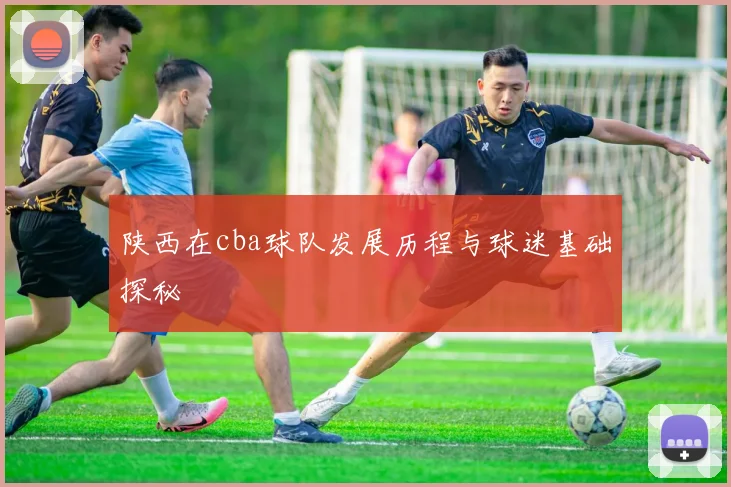 陕西在cba球队发展历程与球迷基础探秘