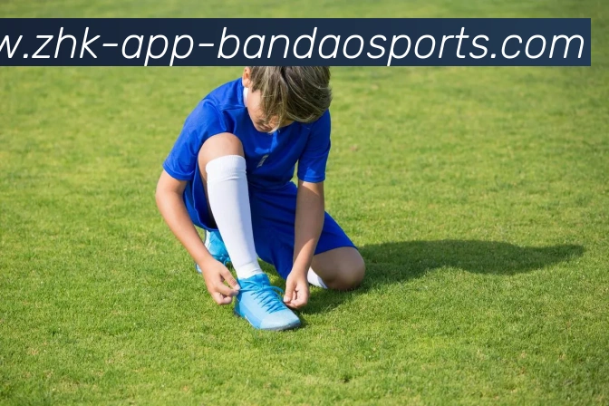 半岛体育平台生态图